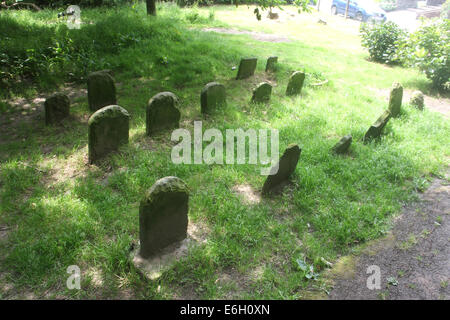 Cane tombe in un parco di Swansea in Galles del Sud. Foto Stock