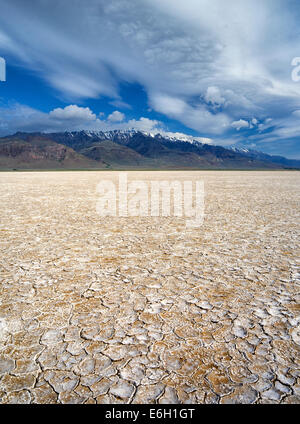 Deserto Alvord e Steens Mountain, Oregon Foto Stock