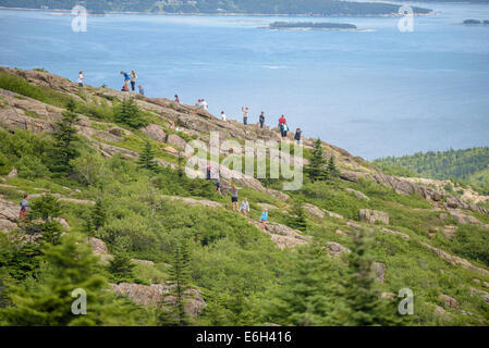 Vista dal vertice, Cadillac Mountain, Parco Nazionale di Acadia, Maine. Foto Stock