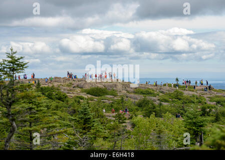 Vista dal vertice, Cadillac Mountain, Parco Nazionale di Acadia, Maine. Foto Stock