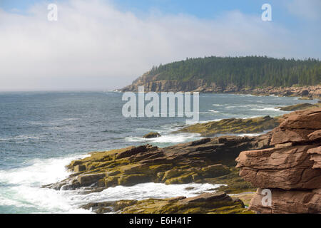 Robusto costa del Maine, Parco Nazionale di Acadia. Foto Stock