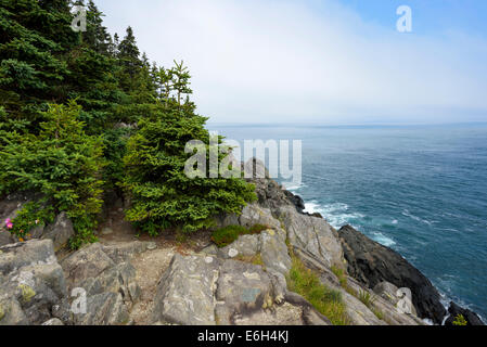 Robusto Maine Oceano Atlantico ambiente costiero Cutler, Maine, Stati Uniti d'America Foto Stock