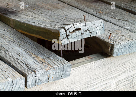 Un insieme di vecchie, incrinato, peeling esterno scheda di Ponte Tavole su una casa con uno che ha deformato molto ed è il curling. Foto Stock