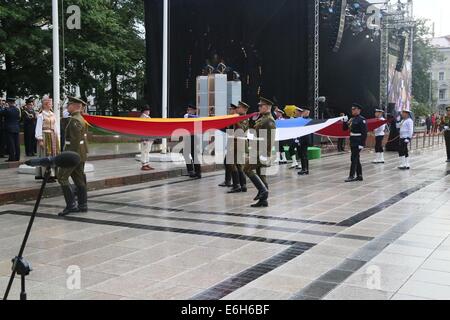 Vilnius, Lituania. 23 Ago, 2014. I soldati portano bandiere nazionali di Lituania, Estonia e Lettonia di una attività nel XXV anniversario del Baltico nel modo di Vilnius, Lituania, su agosto 23, 2014. La Lituania ha ricoperto diverse attività qui il sabato per commemorare il venticinquesimo anniversario della Via Baltica. Il 23 agosto 1989, circa due milioni di persone di tutte le età hanno unito le loro mani per formare una catena umana che coprono oltre 600 chilometri attraverso tre Stato baltico -- Estonia, Lettonia e Lituania, che erano repubbliche dell'Unione Sovietica. Credito: Bu Peng/Xinhua/Alamy Live News Foto Stock