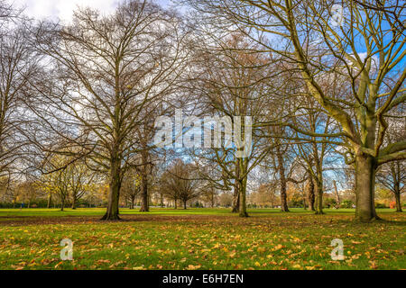 Soleggiata giornata autunnale in Hyde Park , Londra Foto Stock