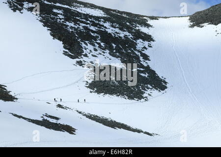 Gli escursionisti salendo ripido pendio di neve verso Kebnekaise Foto Stock