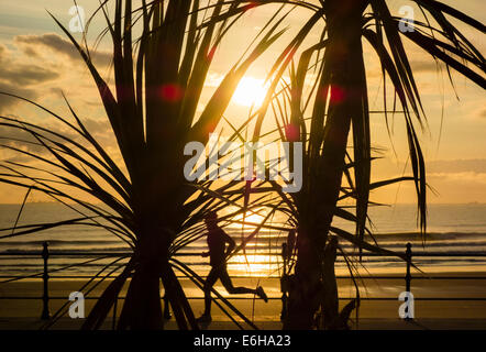 Seaton Carew, vicino a Hartlepool, Regno Unito. 24 Ago, 2014. Regno Unito: Meteo pareggiatore di sunrise a un tropicale cercando Seaton carew. La temperatura era lungi dal tropical su una gelida ultima domenica di agosto come il termometro registrato 5 gradi C sulla costa nord est di sunrise. Credito: ALANDAWSONPHOTOGRAPHY/Alamy Live News Foto Stock