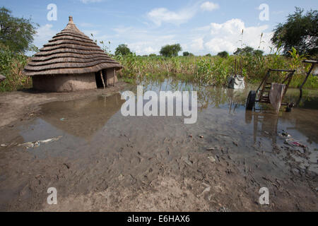 Famland allagata a Abathok villaggio vicino Agok, provincia di Abyei, Sudan / Sud Sudan. Foto Stock