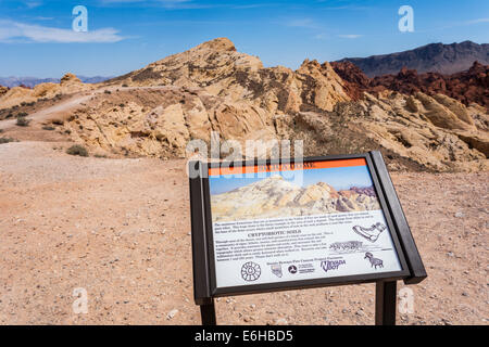 Segno informa i visitatori circa la geologia della cupola di silice formazione di roccia della Valle di Fire State Park vicino a Overton, Nevada Foto Stock