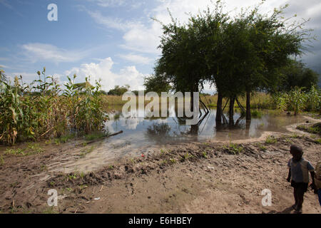 Bambino sondaggi famland allagata a Abathok villaggio vicino Agok, provincia di Abyei, Sudan / Sud Sudan. Foto Stock