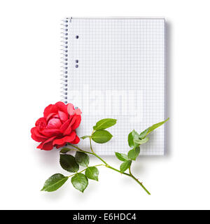 La carta a spirale notebook squadrato e Red Rose fiore isolato su sfondo bianco Foto Stock