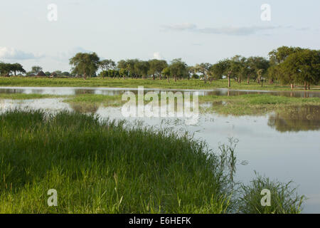 Scena di paesaggio del fiume Achok a Agok, provincia di Abyei, Sudan / Sud Sudan. Foto Stock