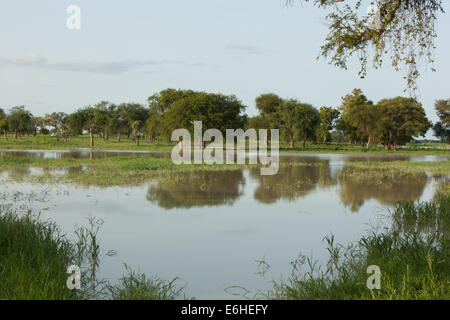 Scena di paesaggio del fiume Achok a Agok, provincia di Abyei, Sudan / Sud Sudan. Foto Stock