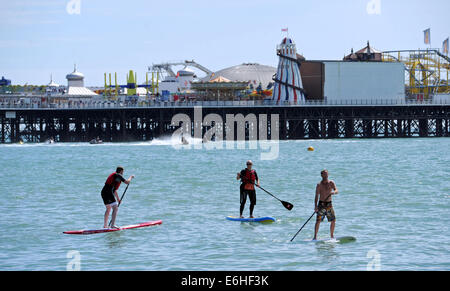 Brighton Sussex Regno Unito 24 agosto 2014 - Paddle boarders godetevi il sole fuori la spiaggia di Brighton oggi con il tempo dovrebbe girare a umido per lunedì festivo fotografia scattata da Simon Dack/Alamy Live News Foto Stock