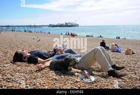 Brighton Sussex Regno Unito 24 agosto 2014 - Hot Dog . Questo hound gode a prendere il sole sulla spiaggia di Brighton con i suoi proprietari sotto il sole oggi come folle accorse al resort con il meteo dovrebbe girare a umido per lunedì festivo fotografia scattata da Simon Dack/Alamy Live News Foto Stock