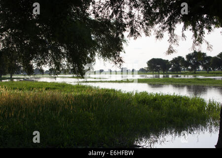 Scena di paesaggio del fiume Achok a Agok, provincia di Abyei, Sudan / Sud Sudan. Foto Stock