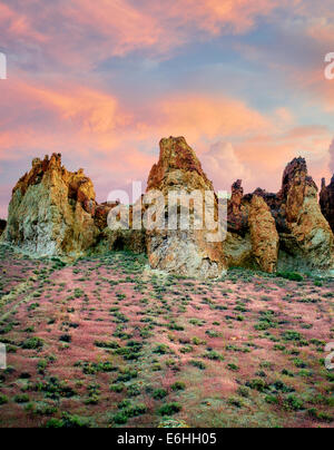 Formazioni rocciose con red Brome erba e nuvole in Leslie Gultch. Malhuer County, Oregon Foto Stock