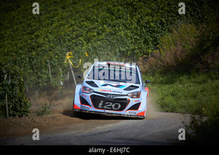 Neumagen, Germania. 24 Ago, 2014. Dani Sordo della Spagna e il co-pilota Marc Martin di Spagna passano la fase speciale nella loro Hyundai durante l'ADAC Rallye Deutschland del WRC World Rally Championship vicino Neumagen, Germania, 24 agosto 2014. Foto: THOMAS FREY/dpa/Alamy Live News Foto Stock