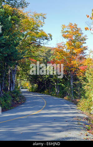 I colori autunnali nei pressi di Ottawa River Valley in giornata soleggiata Foto Stock