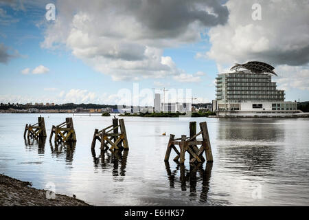 I resti di vecchi pontili in legno nella Baia di Cardiff. Foto Stock