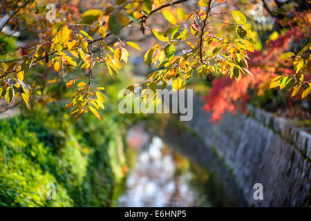 Kyoto, Giappone al filosofo il percorso in autunno. Foto Stock