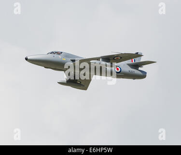 Dunsfold, UK. 23 Ago, 2014. Aerodromo di Dunsfold nel Surrey tiene annualmente un motore e su airshow a Ferragosto weekend. Qui Hawker Hunter aerei jet XL577, di proprietà di Midair Squadron visualizza sabato 23 Credito: Niall Ferguson/Alamy Live News Foto Stock