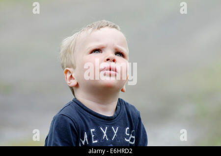 Ritratto di un giovane ragazzo biondo (2 1/2 anni) guardando in alto Foto Stock