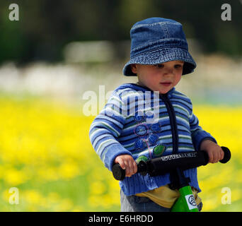 Un bimbo di 2 anni in sella ad un equilibrio di Strider bike Foto Stock