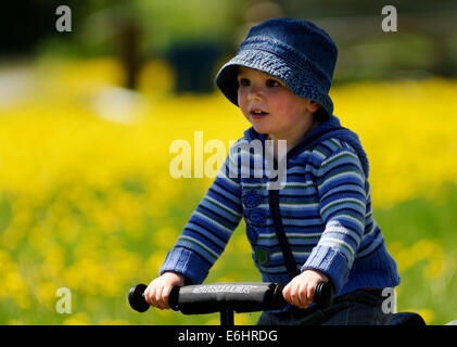 Un bimbo di 2 anni in sella ad un equilibrio di Strider bike Foto Stock