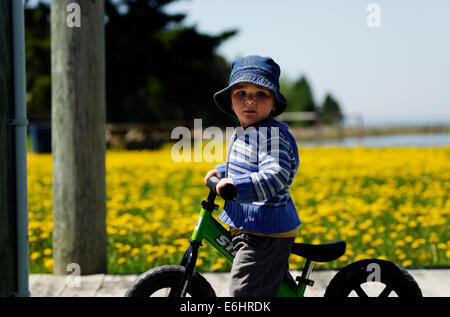 Un bimbo di 2 anni in sella ad un equilibrio di Strider bike Foto Stock