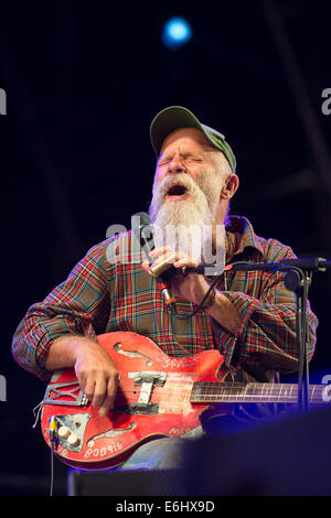 Southsea, Hampshire, Regno Unito. 24 Agosto, 2014. Vittorioso Festival - Domenica, Southsea, Hampshire, Inghilterra. Nauseante Steve in primo piano il Castello Stage Credito: MeonStock/Alamy Live News Foto Stock