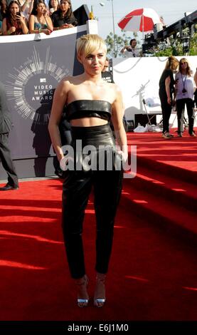 Inglewood, CA. 24 Ago, 2014. All'arrivo per MTV Video Music Awards (VMA) 2014, il Forum, Inglewood CA, 24 agosto 2014. Foto di: Elizabeth Goodenough/Everett raccolta/Alamy Live News Foto Stock