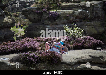 Persone a Brimham Rocks; Brimham Crags una collezione di formazioni rocciose naturali equilibranti scolpite nel corso dei secoli da ghiaccio, vento e pioggia nelle valli dello Yorkshire del Nord. Agosto vacanze bambini attivi e turisti in visita al sito National Trust fare una grande giornata fuori per le famiglie e gli scalatori godere di una serie peculiare di formazioni rocciose composto da macina grinta a forma di vento e tempo Foto Stock