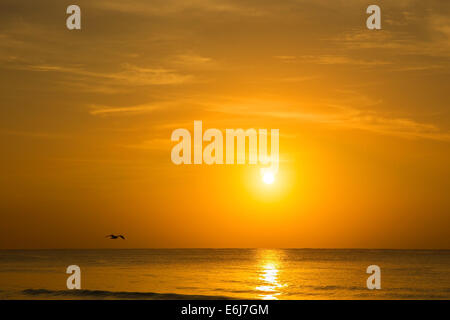 Tramonto sul Mar dei Caraibi a Playa del Carmen, Messico Foto Stock