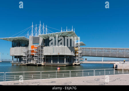 Lisbona, Portogallo - Agosto 07, 2014: Oceanarium di Lisbona, la seconda più grande oceanarium nel mondo e il più grande in Europa. Parque das Nacoes Foto Stock