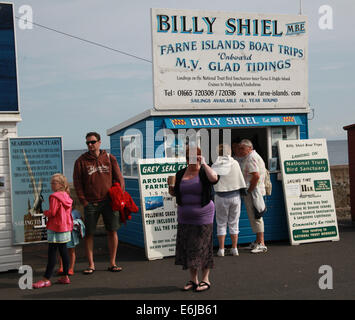 Billy Shiel barca biglietti sono venduti da capannoni a Seahouses, per farne gite sull'isola, NE L'Inghilterra, Regno Unito Foto Stock