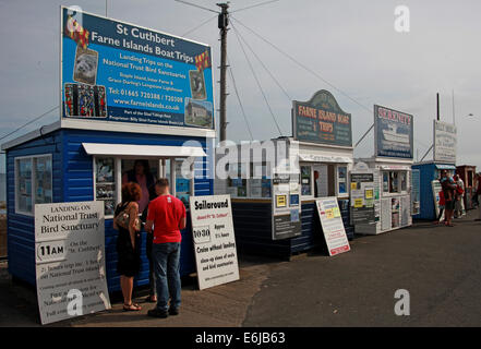 St Cuthbert barca biglietti sono venduti da capannoni a Seahouses, per farne gite sull'isola, NE L'Inghilterra, Regno Unito Foto Stock