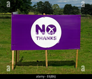 No Grazie viola meglio insieme banner in un campo scozzese Settembre 2014 Foto Stock