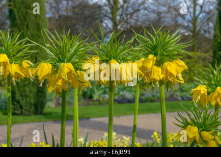 Regent's Park è uno dei punti di riferimento di Londra, e uno dei parchi reali. Esso si trova a nord ovest di Londra e ospitare il London Zoo Foto Stock