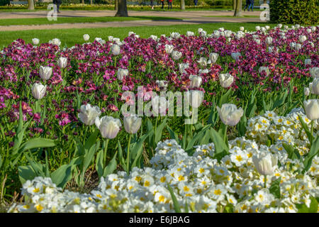 Regent's Park è uno dei punti di riferimento di Londra, e uno dei parchi reali. Esso si trova a nord ovest di Londra e ospitare il London Zoo Foto Stock