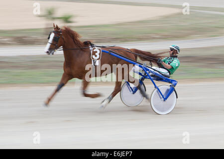 Trottare Marsa race track La Valletta Foto Stock