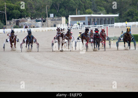 Trottare Marsa race track La Valletta Foto Stock