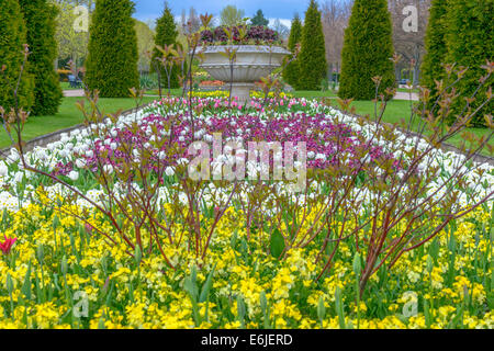 Regent's Park è uno dei punti di riferimento di Londra, e uno dei parchi reali. Esso si trova a nord ovest di Londra e ospitare il London Zoo Foto Stock