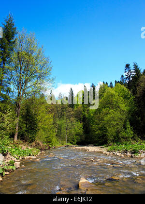 Flusso rapido in una foresta in monti Bieszczady, Polonia Foto Stock