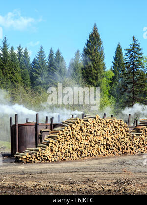 Il modo tradizionale di produzione di carbone in una foresta di monti Bieszczady, Polonia Foto Stock