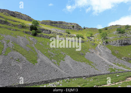 Le Yorkshire Dales National Park a Gordale Scar vicino Malham Yorkshire England Regno Unito Foto Stock