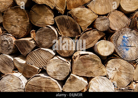 Catasta di legna da ardere preparato da qualche parte nel paese Foto Stock