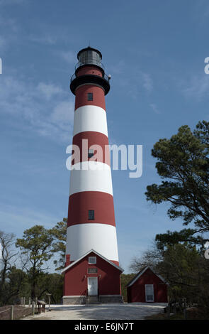 Assateague Island Lighthouse e casa di olio Foto Stock