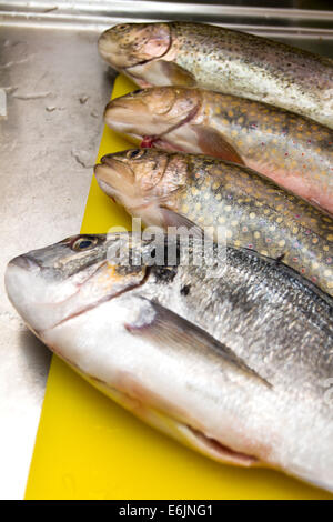 pesce crudo misto Foto Stock