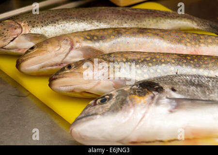 pesce crudo misto Foto Stock